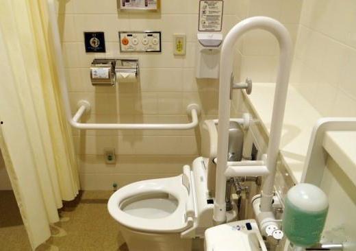 日本卫生间爆料视频,独特设计与文化内涵一窥究竟 第3张 日本卫生间爆料视频,独特设计与文化内涵一窥究竟 第3张