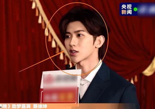 蔡徐坤采访爆料视频大全,揭秘偶像背后的故事与心声  第2张